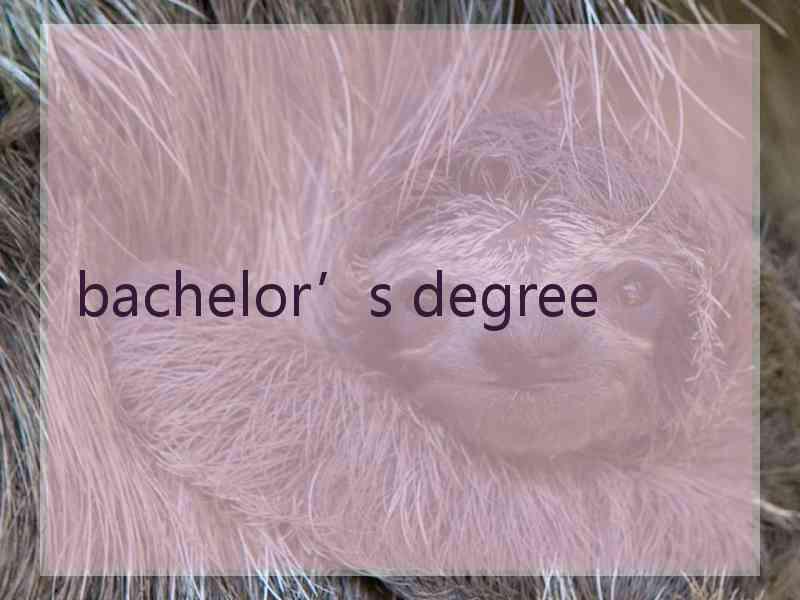 bachelor’s degree