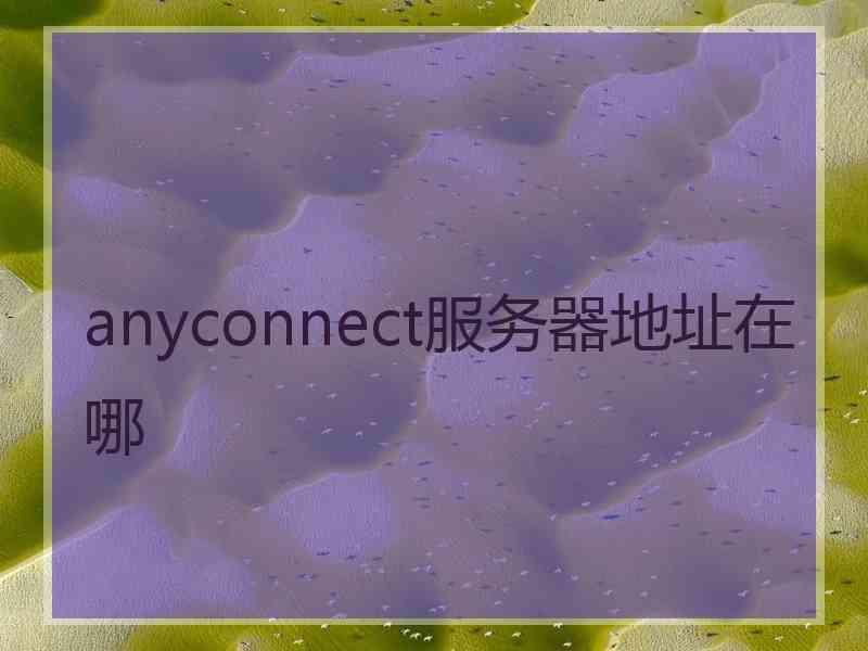 anyconnect服务器地址在哪