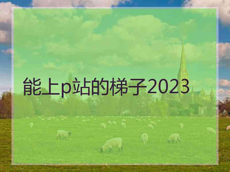 能上p站的梯子2023