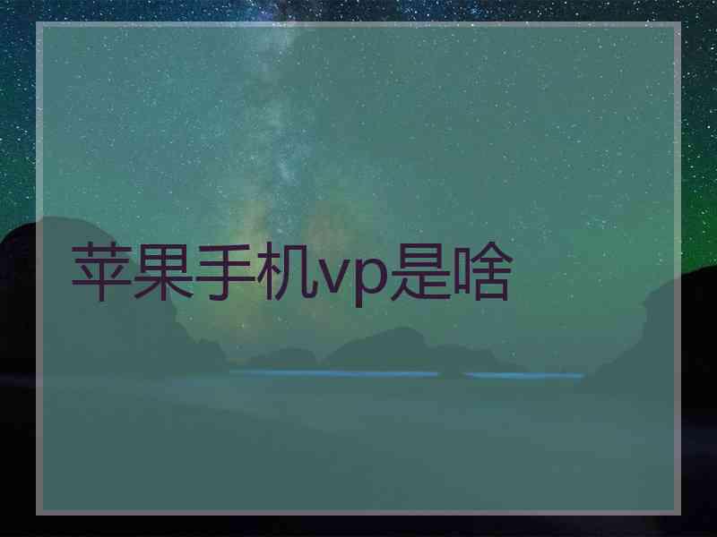 苹果手机vp是啥