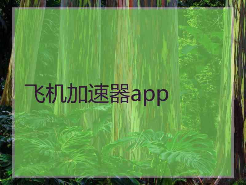 飞机加速器app