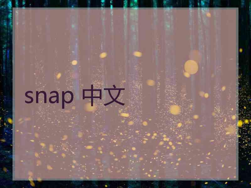 snap 中文