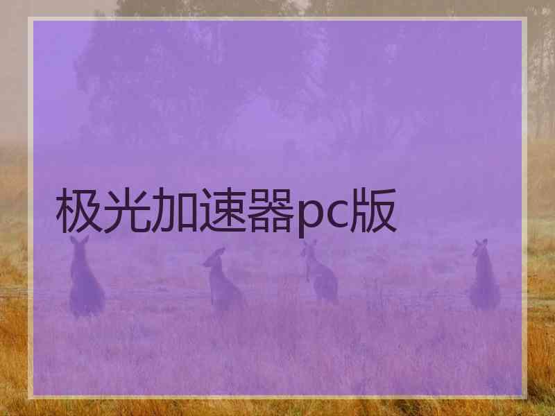 极光加速器pc版