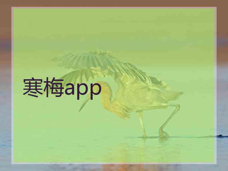 寒梅app