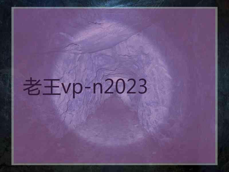 老王vp-n2023