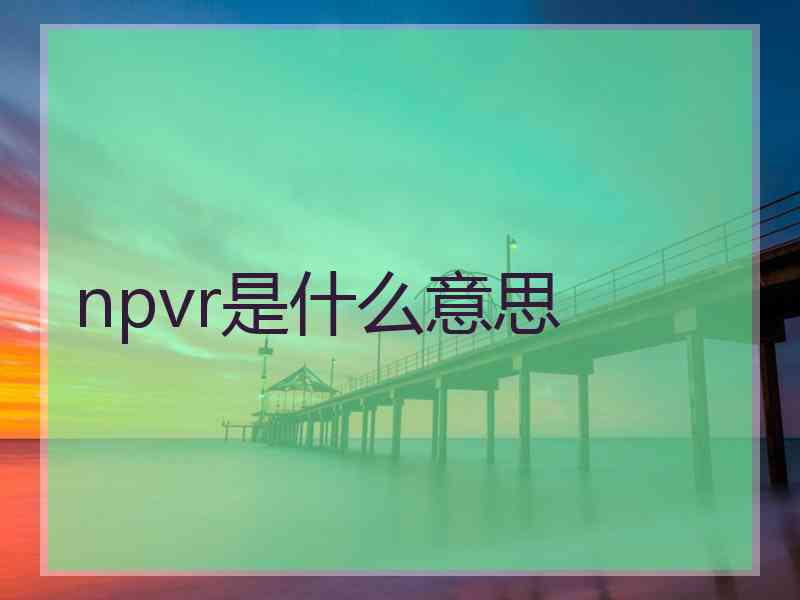 npvr是什么意思