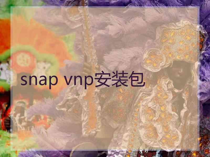 snap vnp安装包