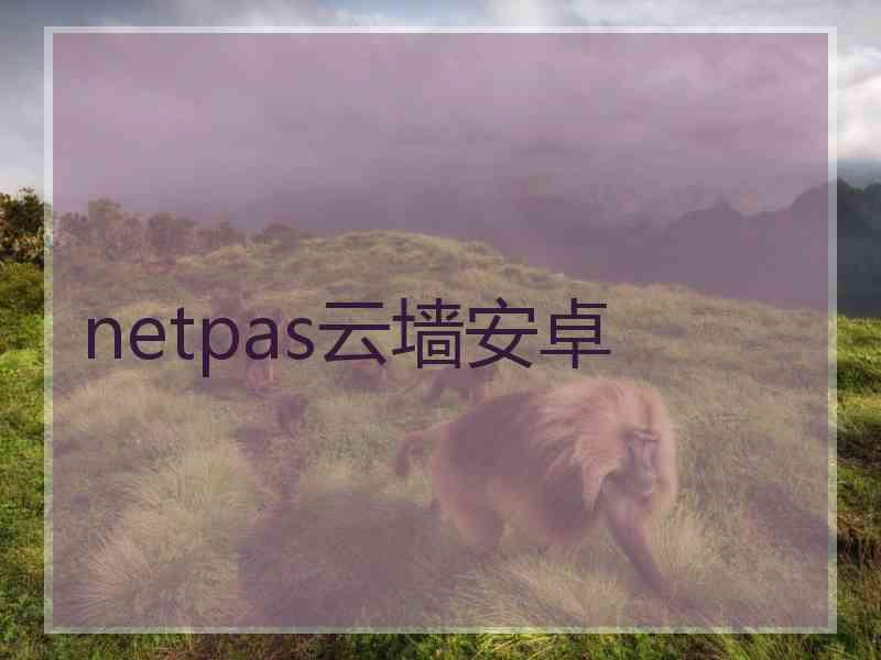 netpas云墙安卓