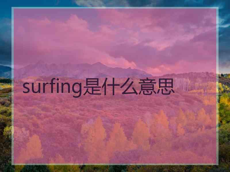 surfing是什么意思