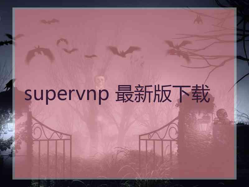 supervnp 最新版下载