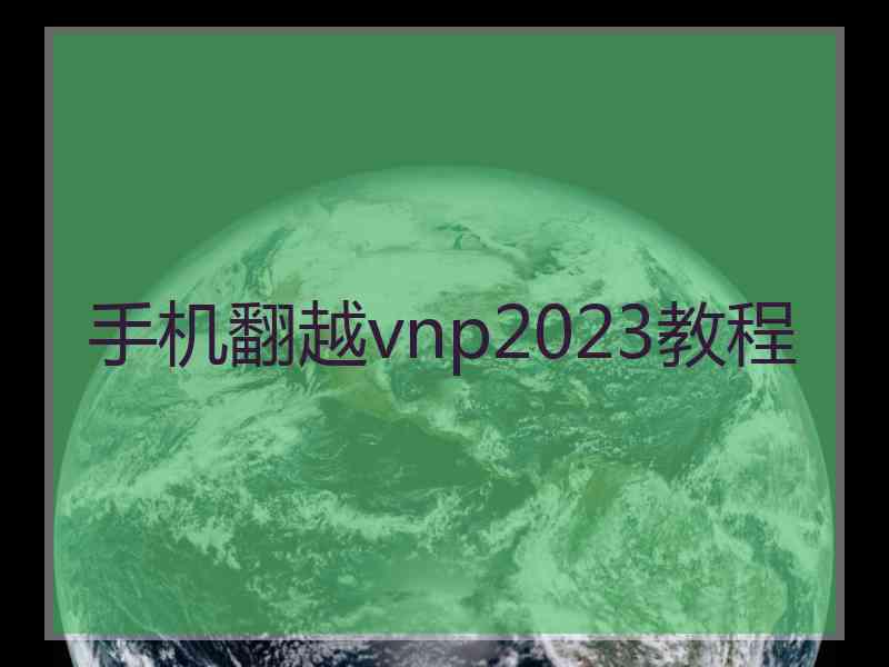 手机翻越vnp2023教程