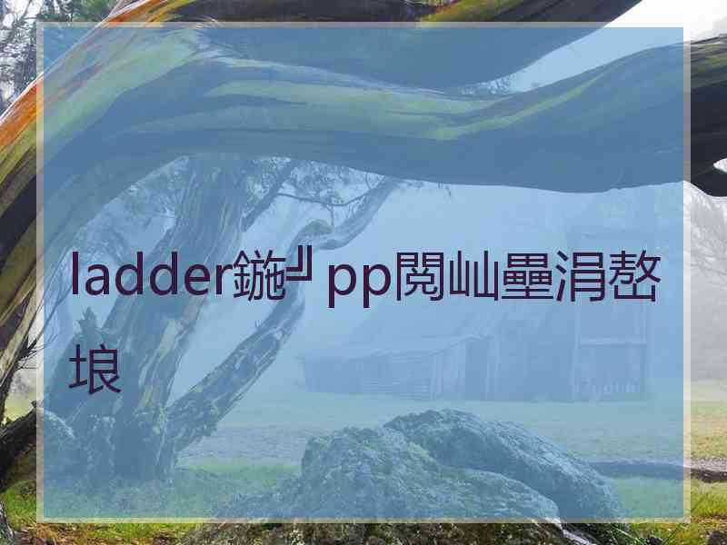 ladder鍦╝pp閲屾壘涓嶅埌