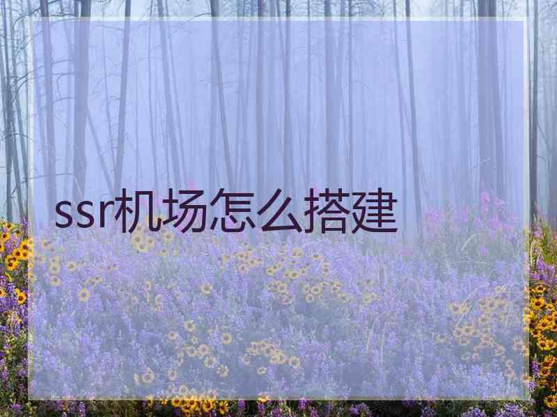 ssr机场怎么搭建