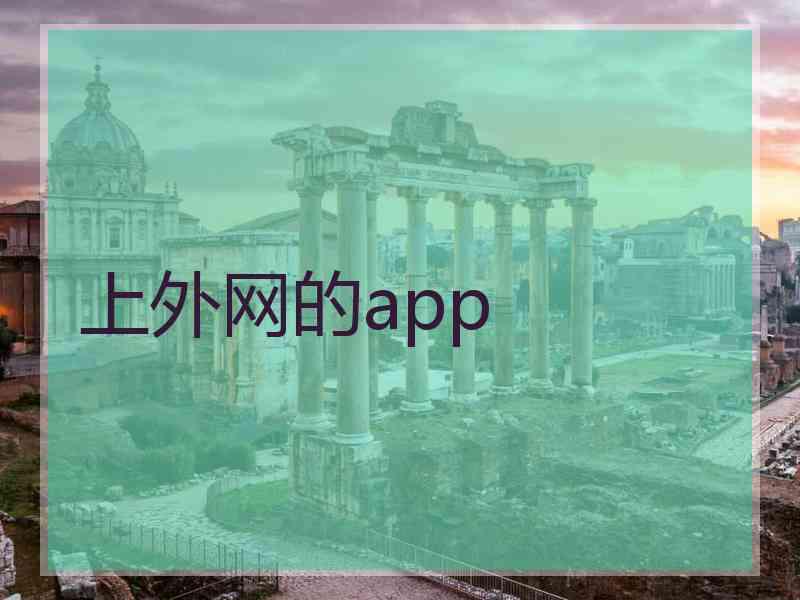 上外网的app