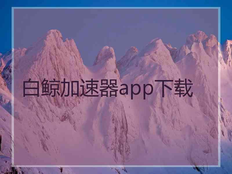 白鲸加速器app下载