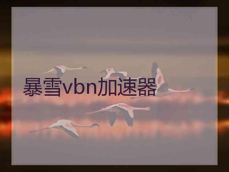 暴雪vbn加速器