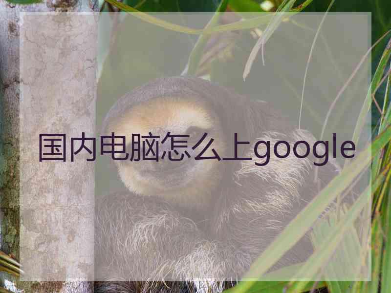 国内电脑怎么上google