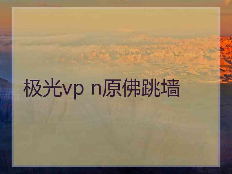 极光vp n原佛跳墙