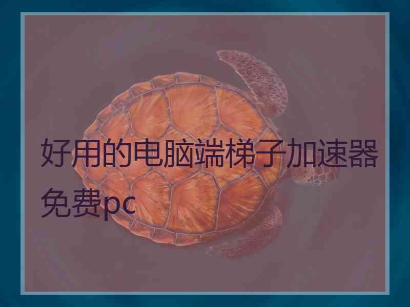 好用的电脑端梯子加速器免费pc