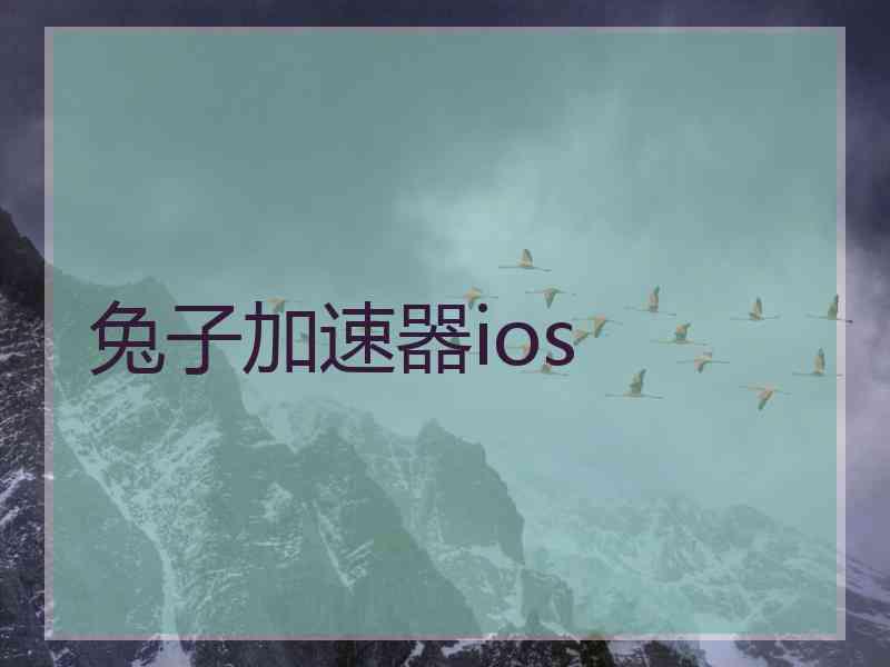 兔子加速器ios