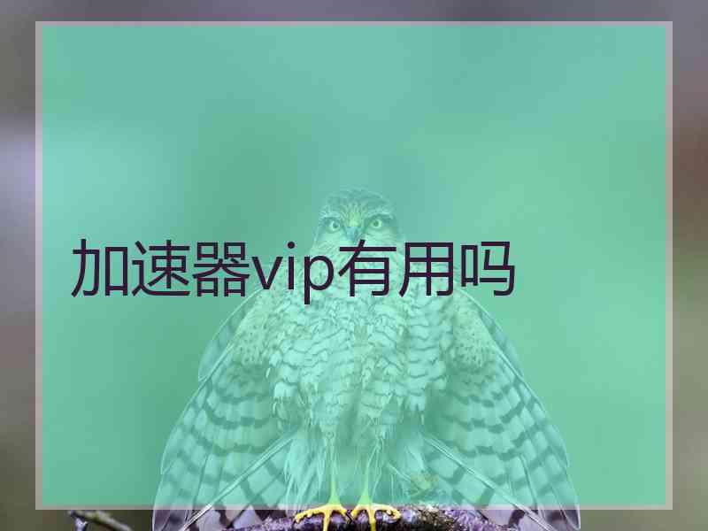 加速器vip有用吗