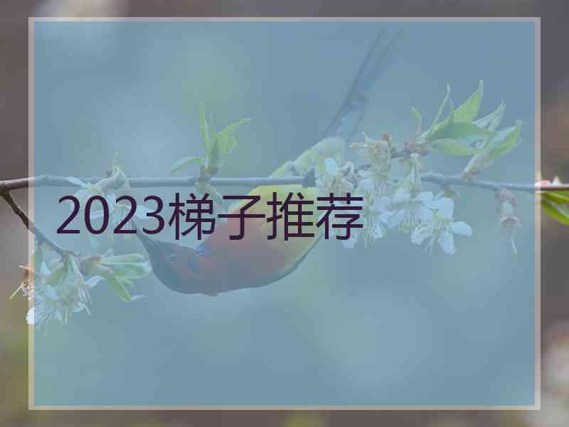 2023梯子推荐