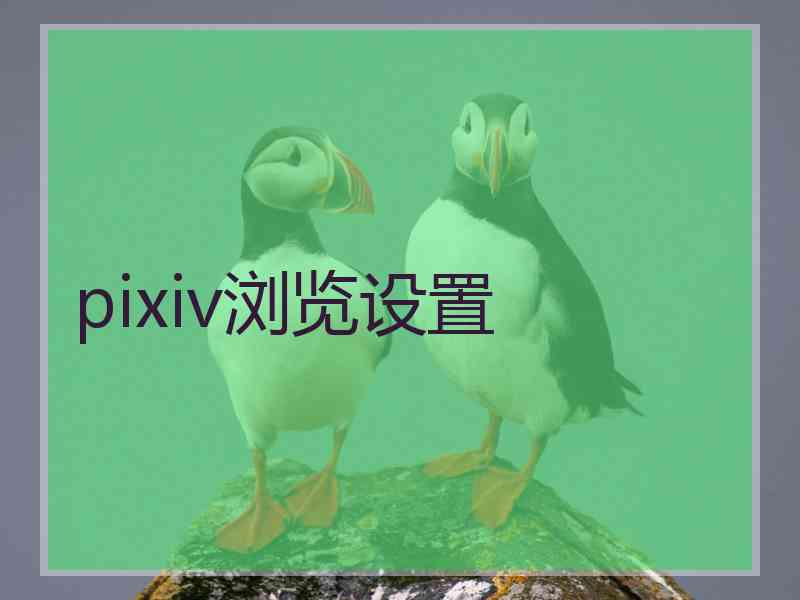 pixiv浏览设置