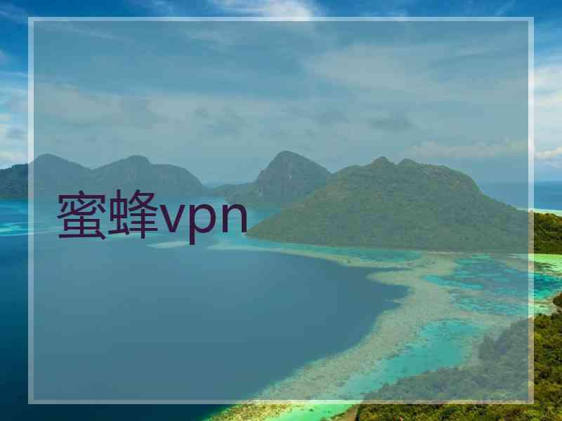 蜜蜂vpn