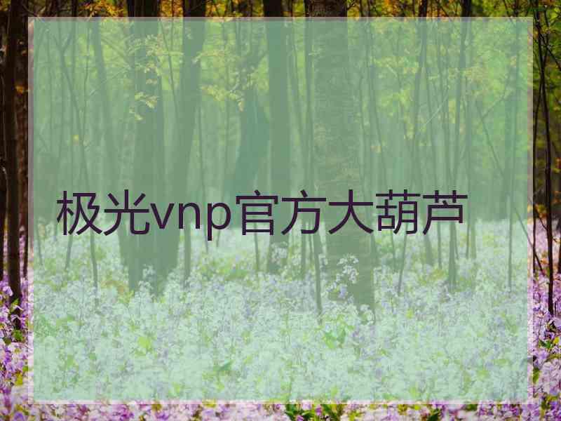 极光vnp官方大葫芦