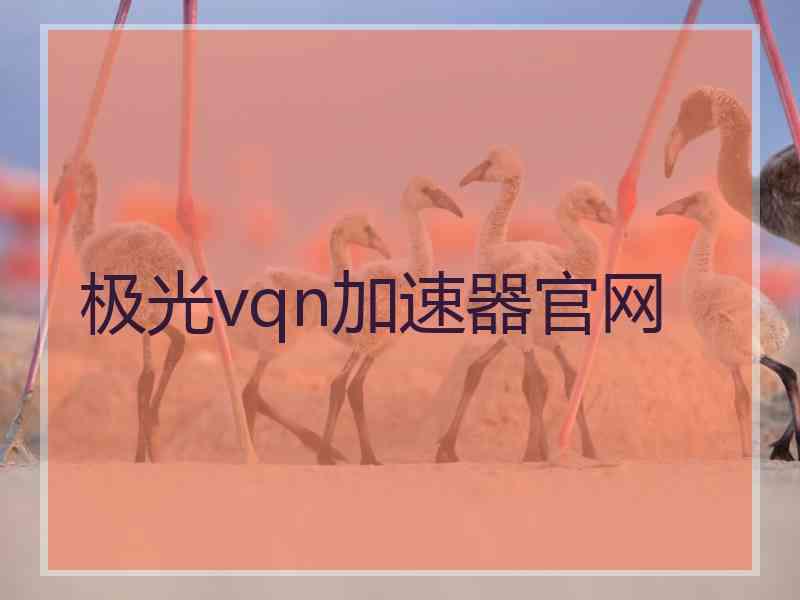 极光vqn加速器官网