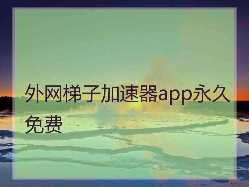 外网梯子加速器app永久免费