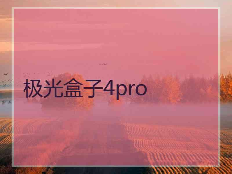 极光盒子4pro