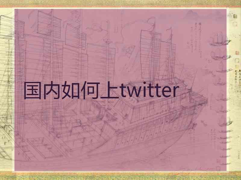 国内如何上twitter