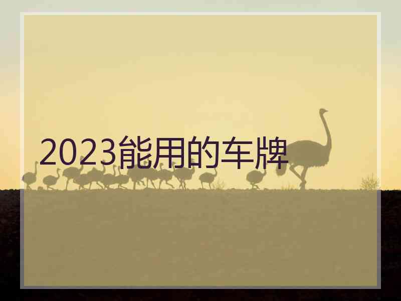 2023能用的车牌