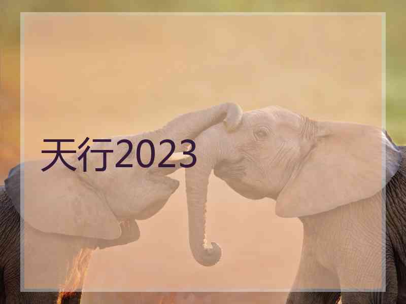 天行2023