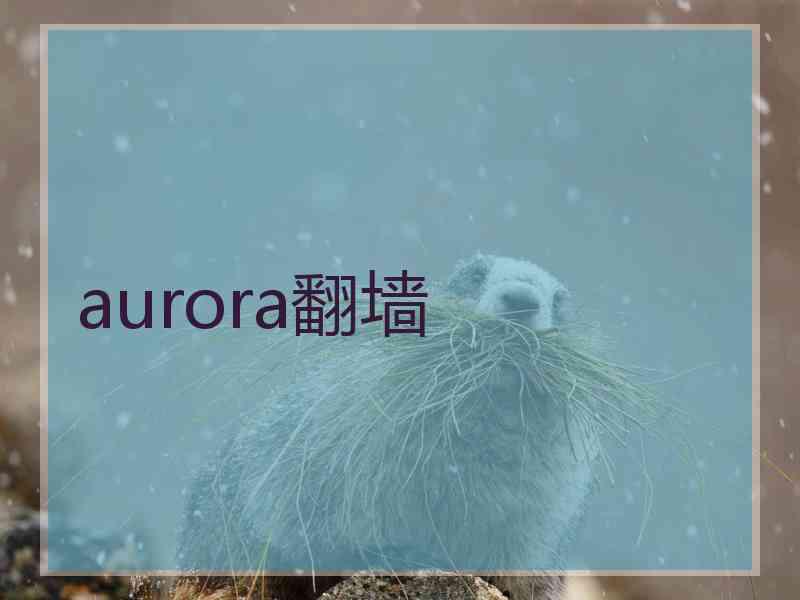 aurora翻墙