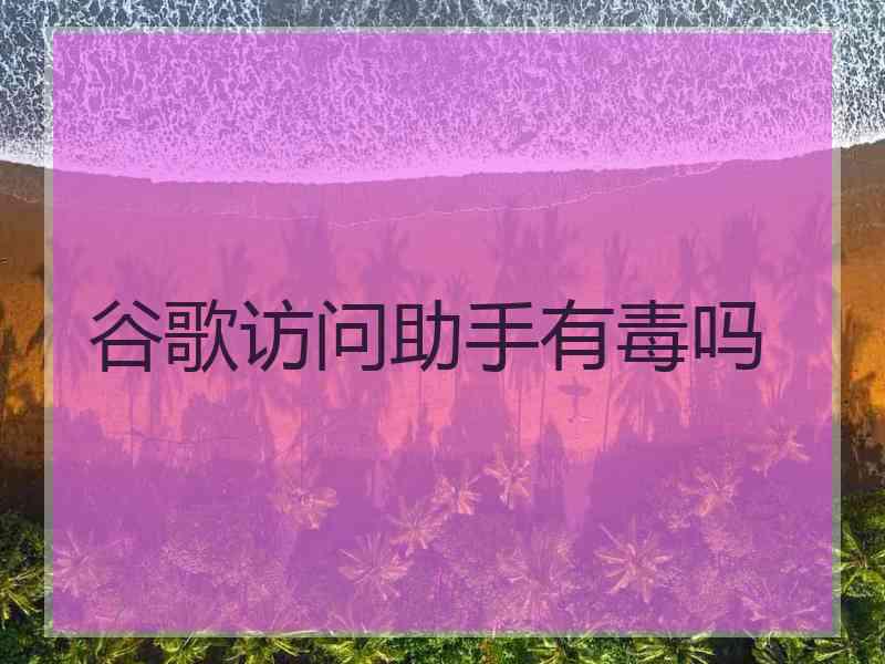 谷歌访问助手有毒吗