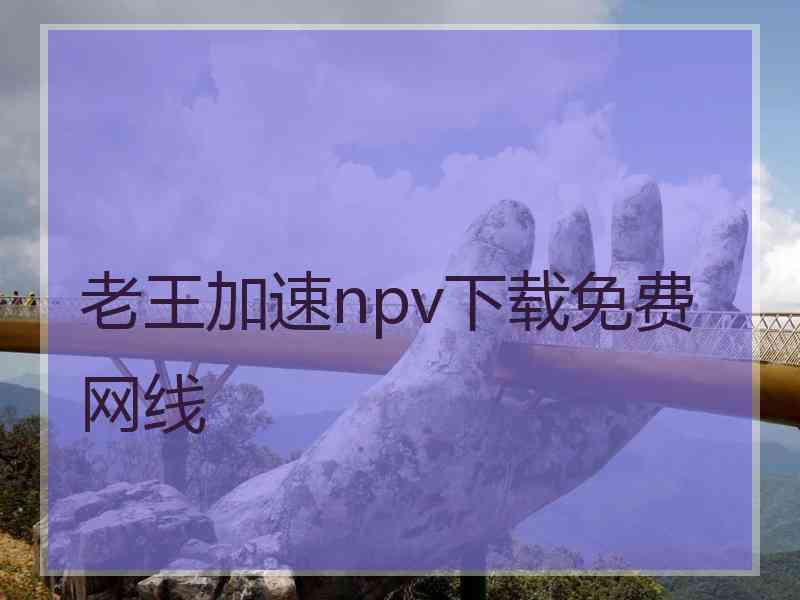 老王加速npv下载免费网线