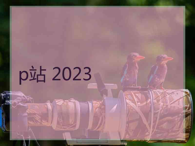 p站 2023