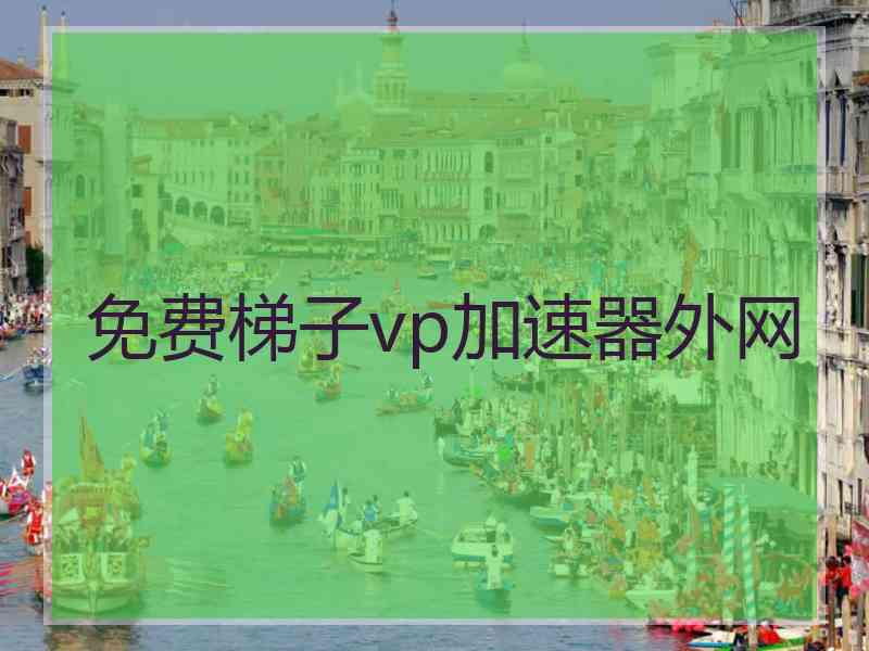 免费梯子vp加速器外网