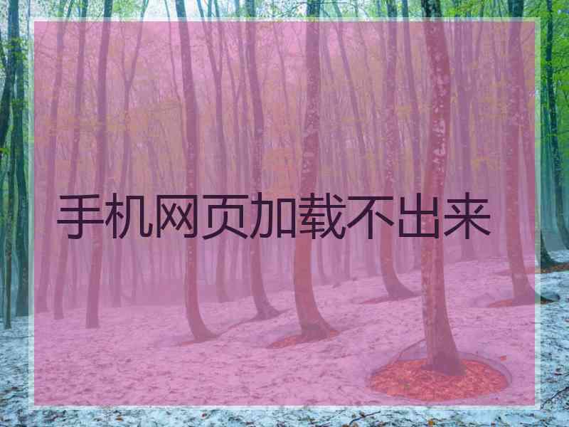 手机网页加载不出来