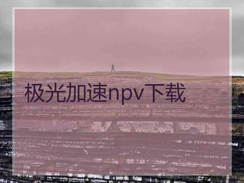 极光加速npv下载