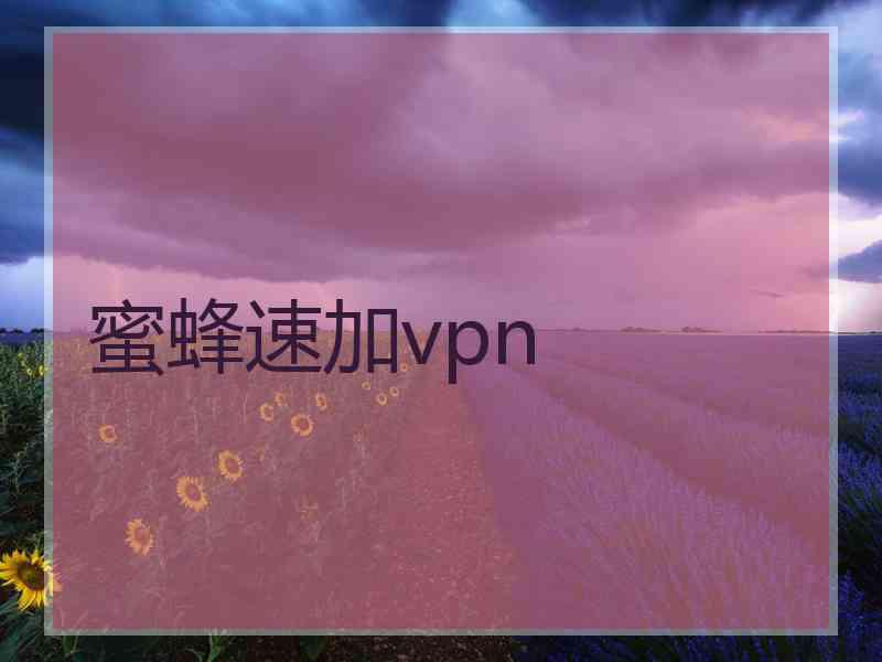 蜜蜂速加vpn