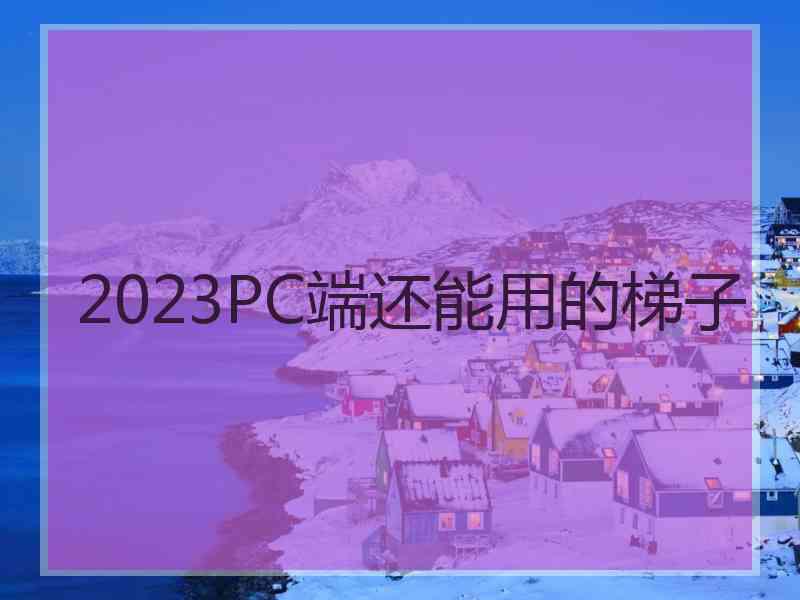 2023PC端还能用的梯子