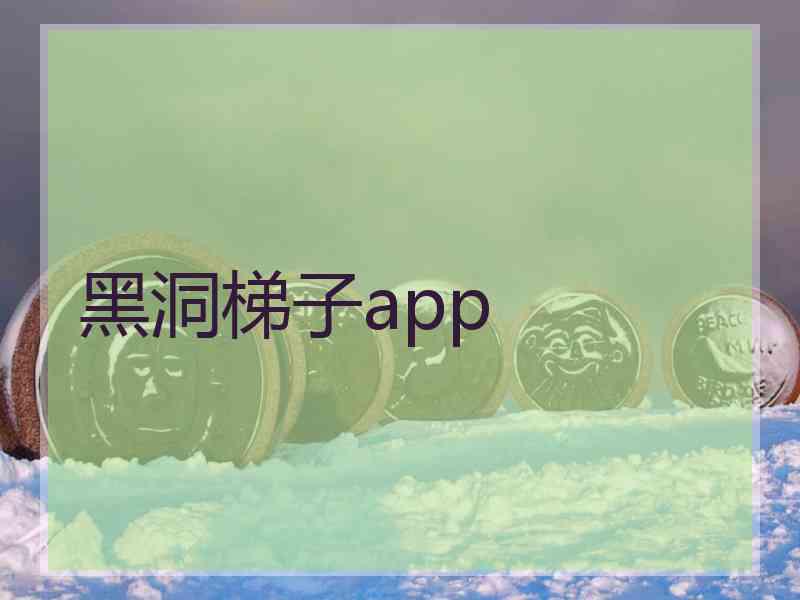 黑洞梯子app