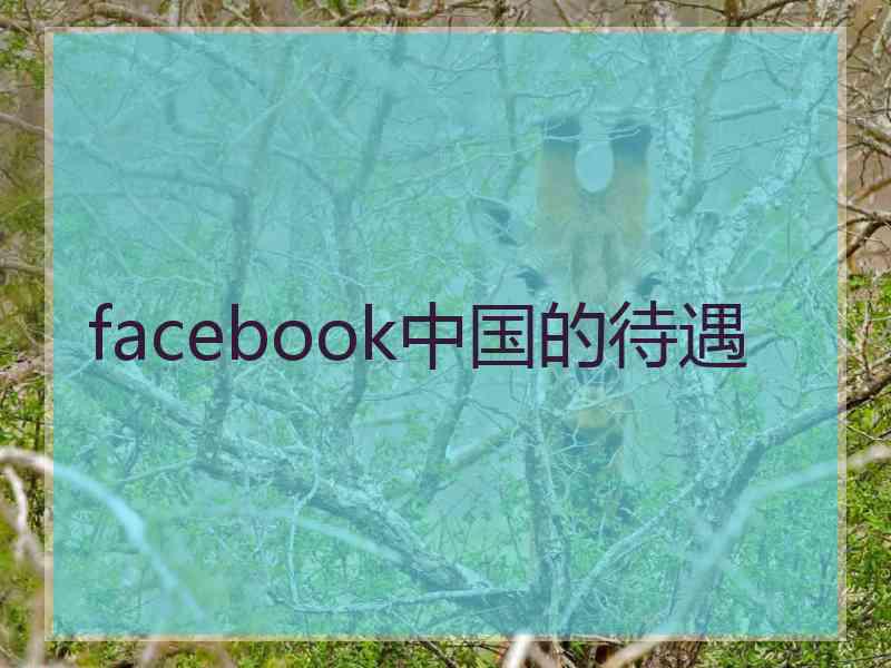 facebook中国的待遇