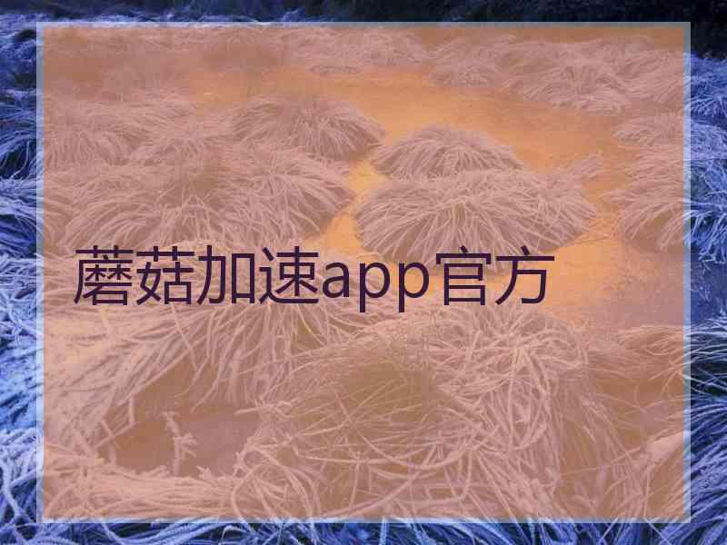 蘑菇加速app官方