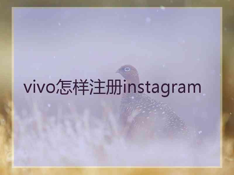 vivo怎样注册instagram