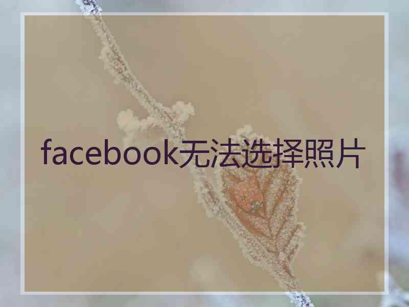 facebook无法选择照片