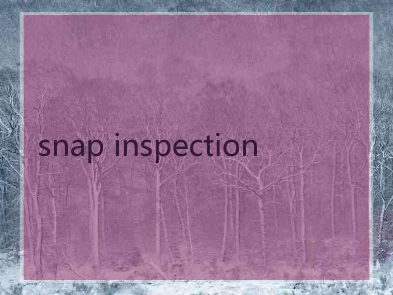 snap inspection